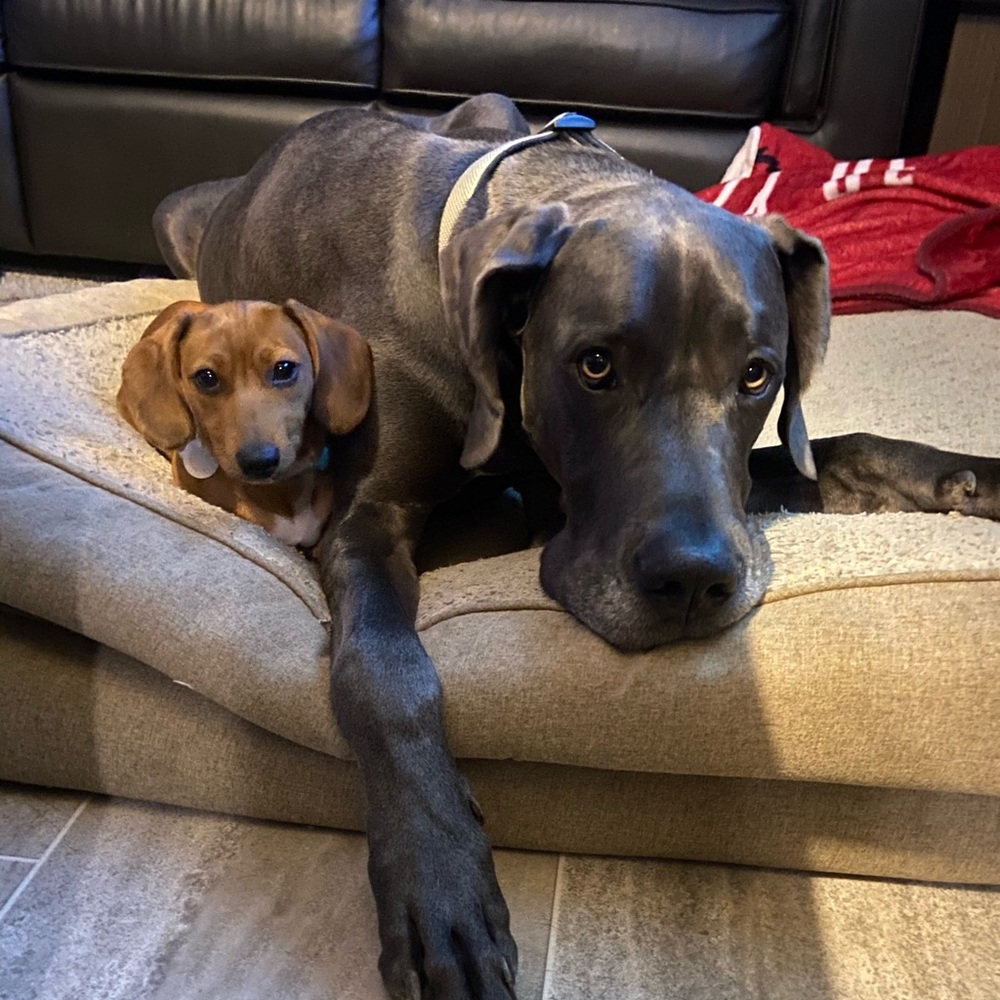 Meet your Posher, Jennifer